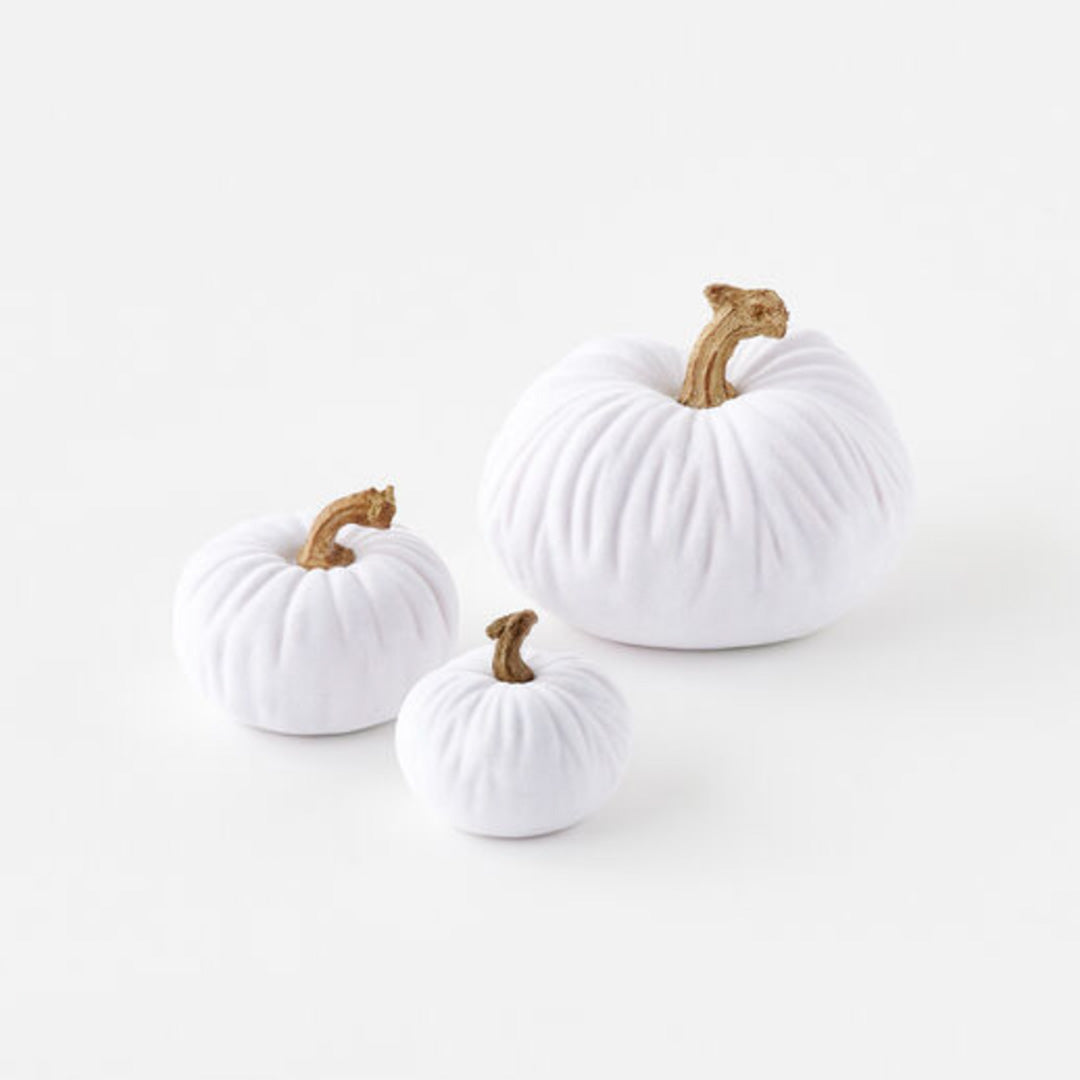 Flocked White Pumpkin Set