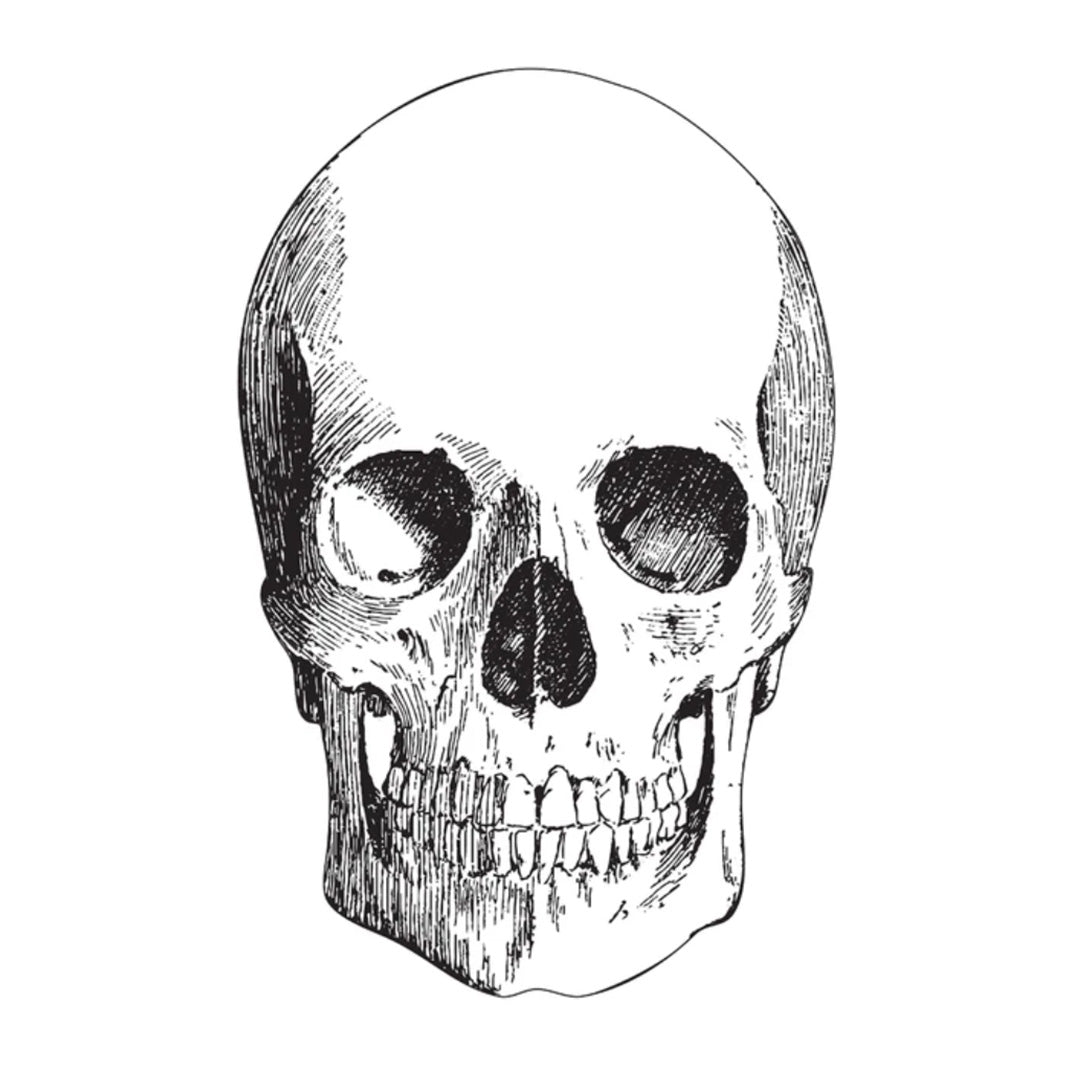 Skull Placemat