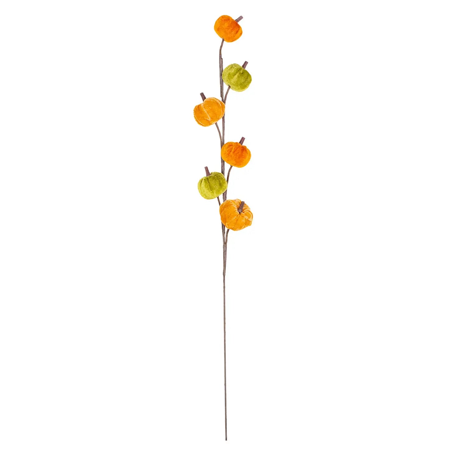 Pumpkin Stem Pick