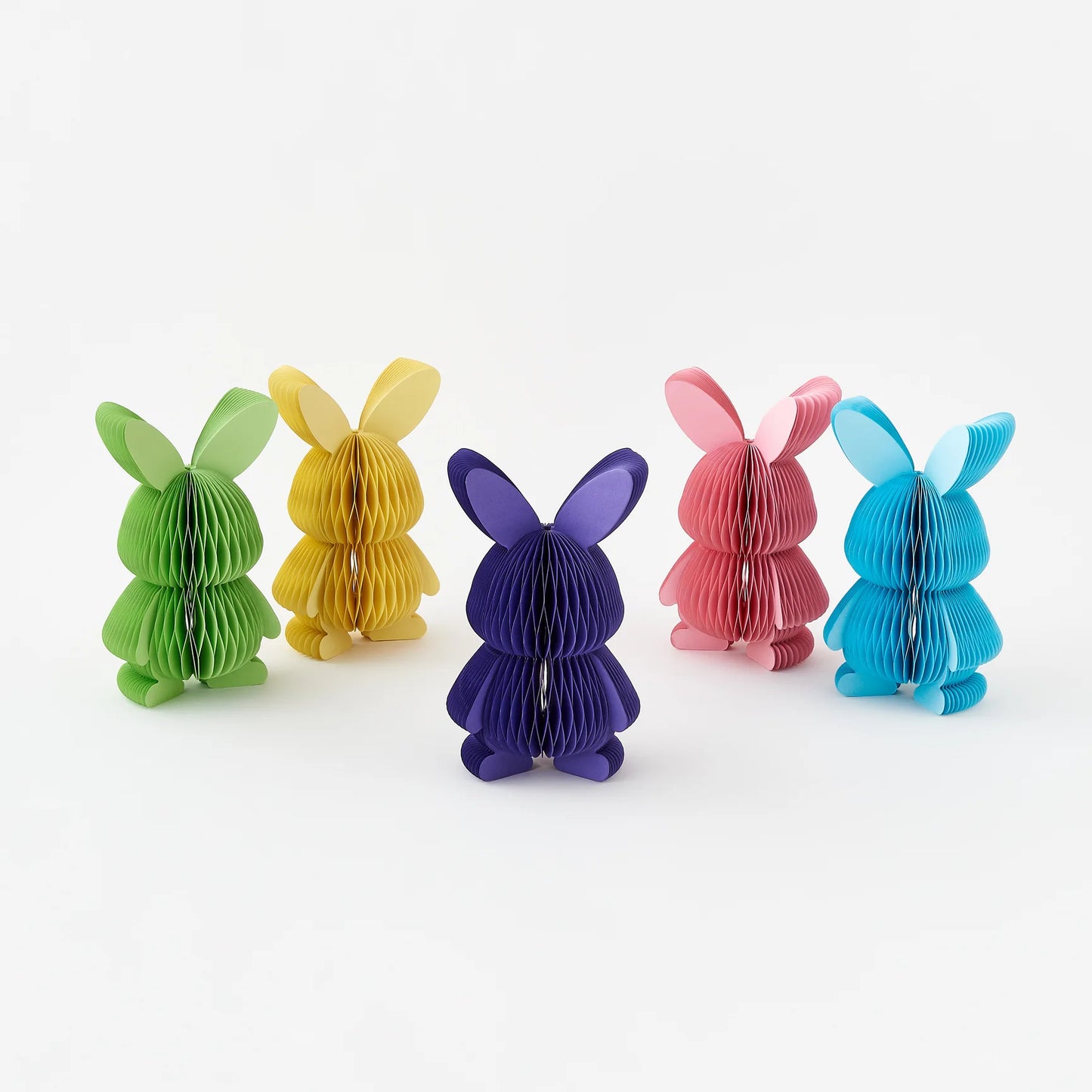 Small Accordion Bunny