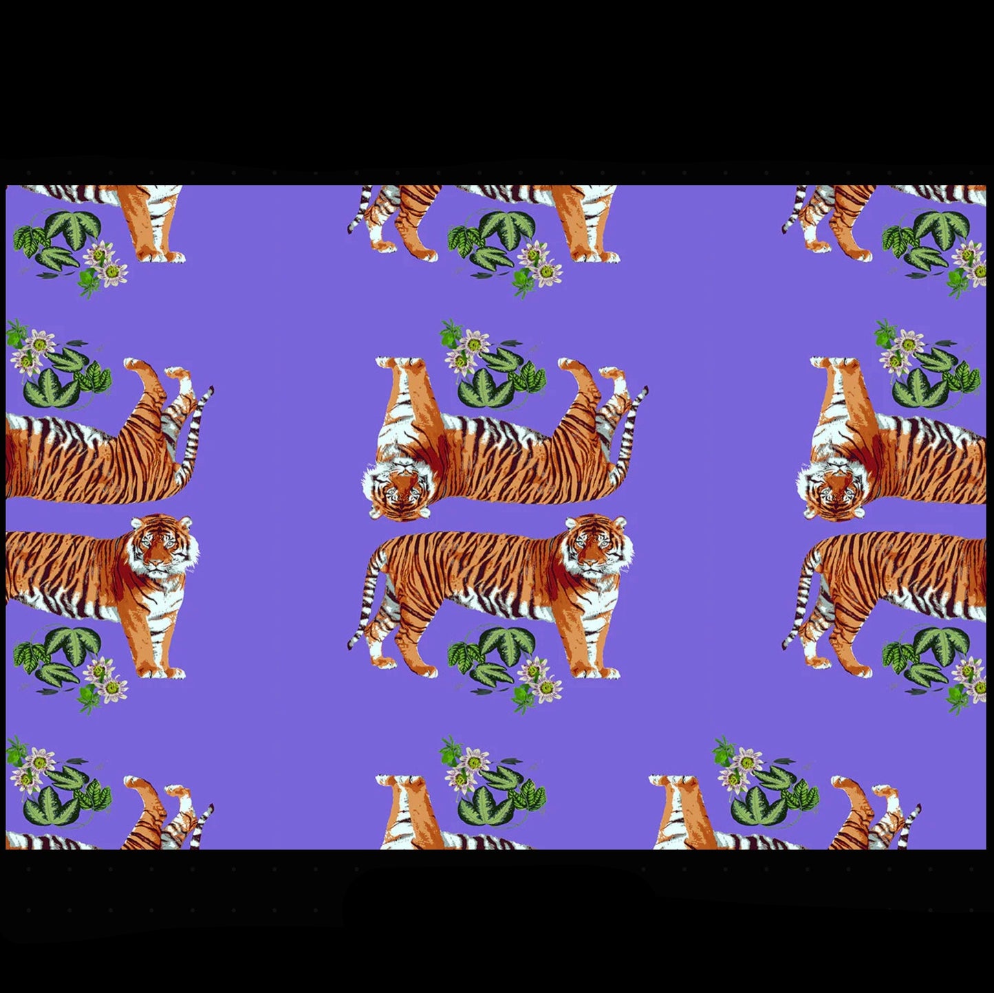 Tiger Seeing Double Placemats