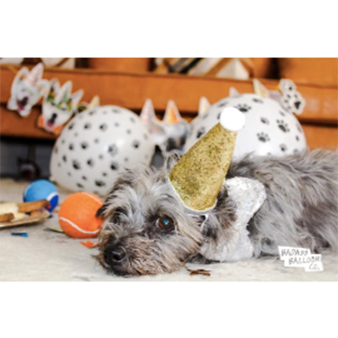 Load image into Gallery viewer, Pawty Party Pet Party in a Box
