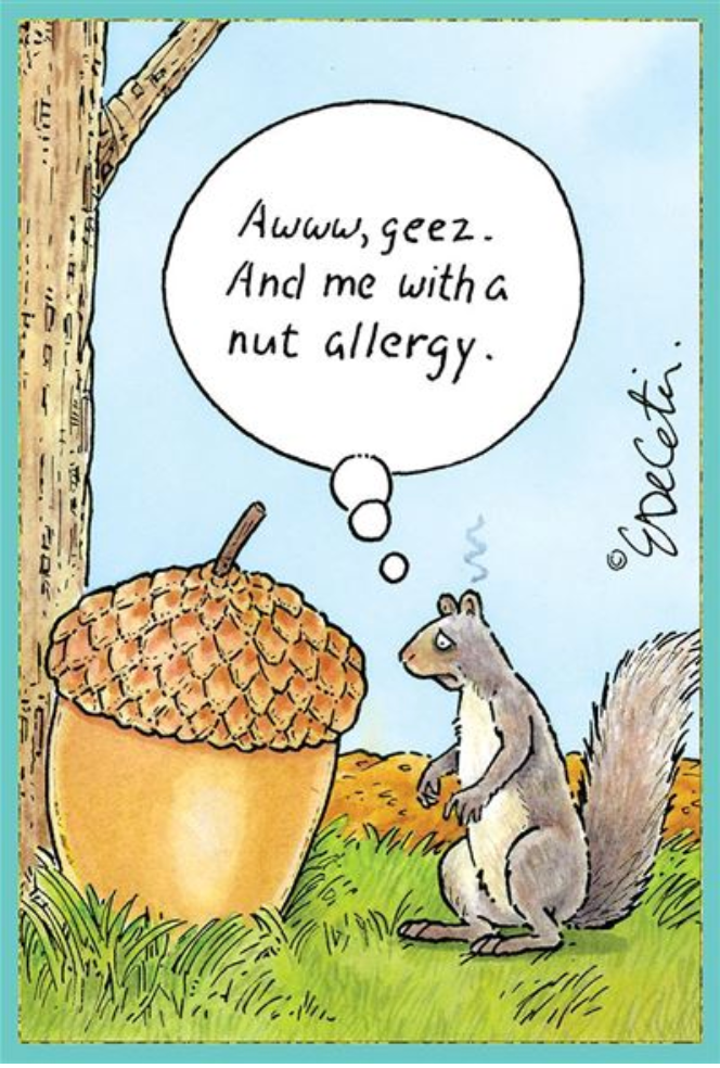 ERIC BD - Nut Allergy Everyday Funny Card