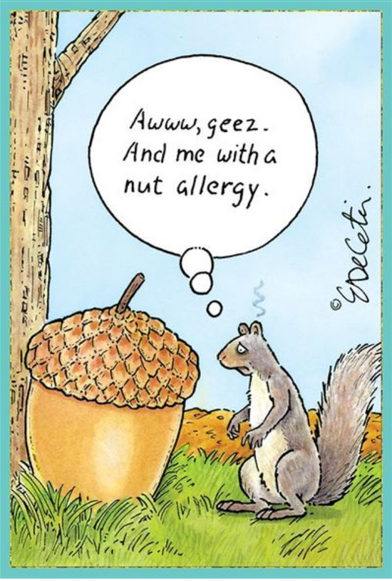 Load image into Gallery viewer, ERIC BD - Nut Allergy Everyday Funny Card
