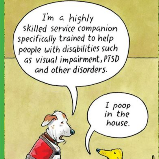 ERIC BD - Poop In House Everyday Funny Card