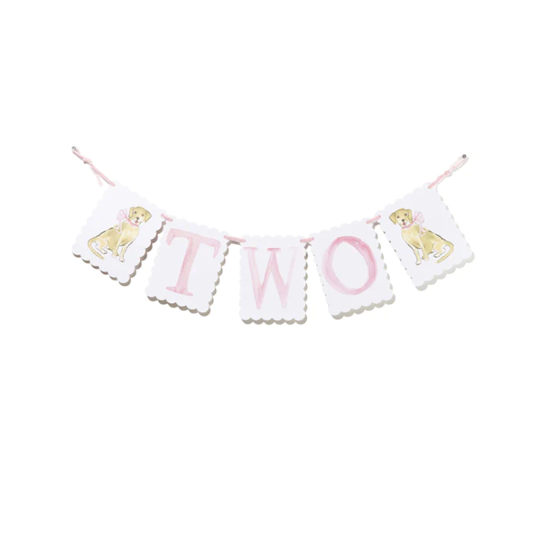 "TWO" Birthday Banner - Pink