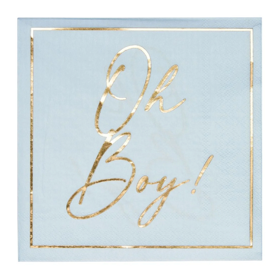 Lunch Napkin Hey Baby Blue