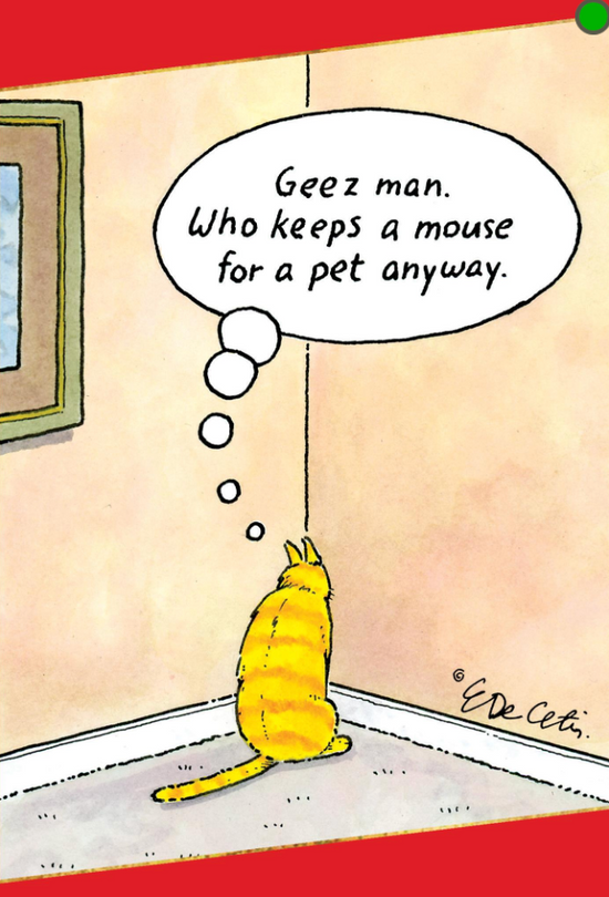 ERIC BD - Cat Corner