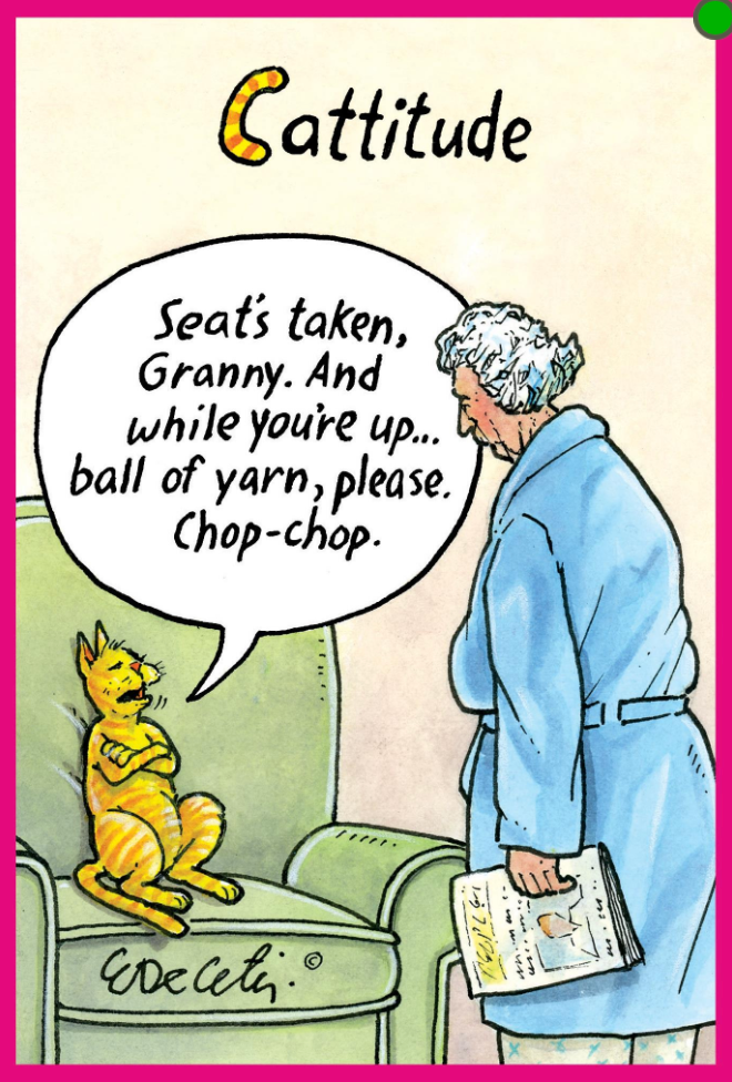ERIC BD - Cattitude