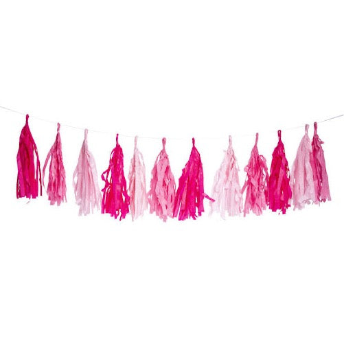 Shades of Pink Tassel Banner