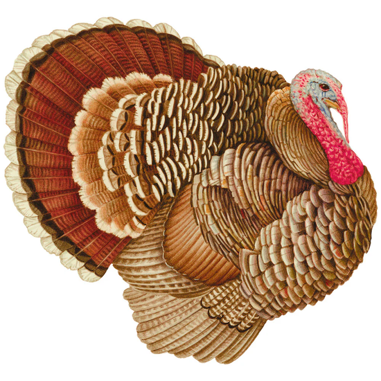 Turkey Paper Placemats