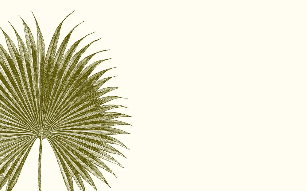 Palm Place Cards