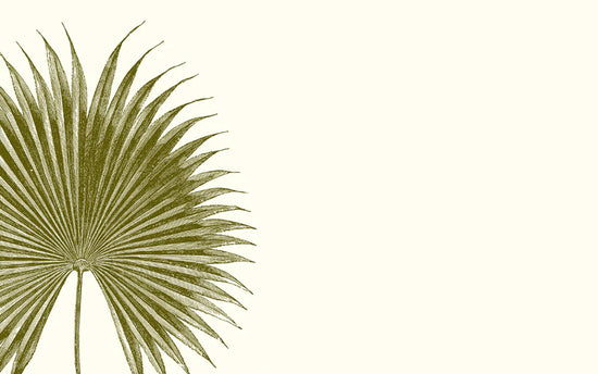Palm Place Cards