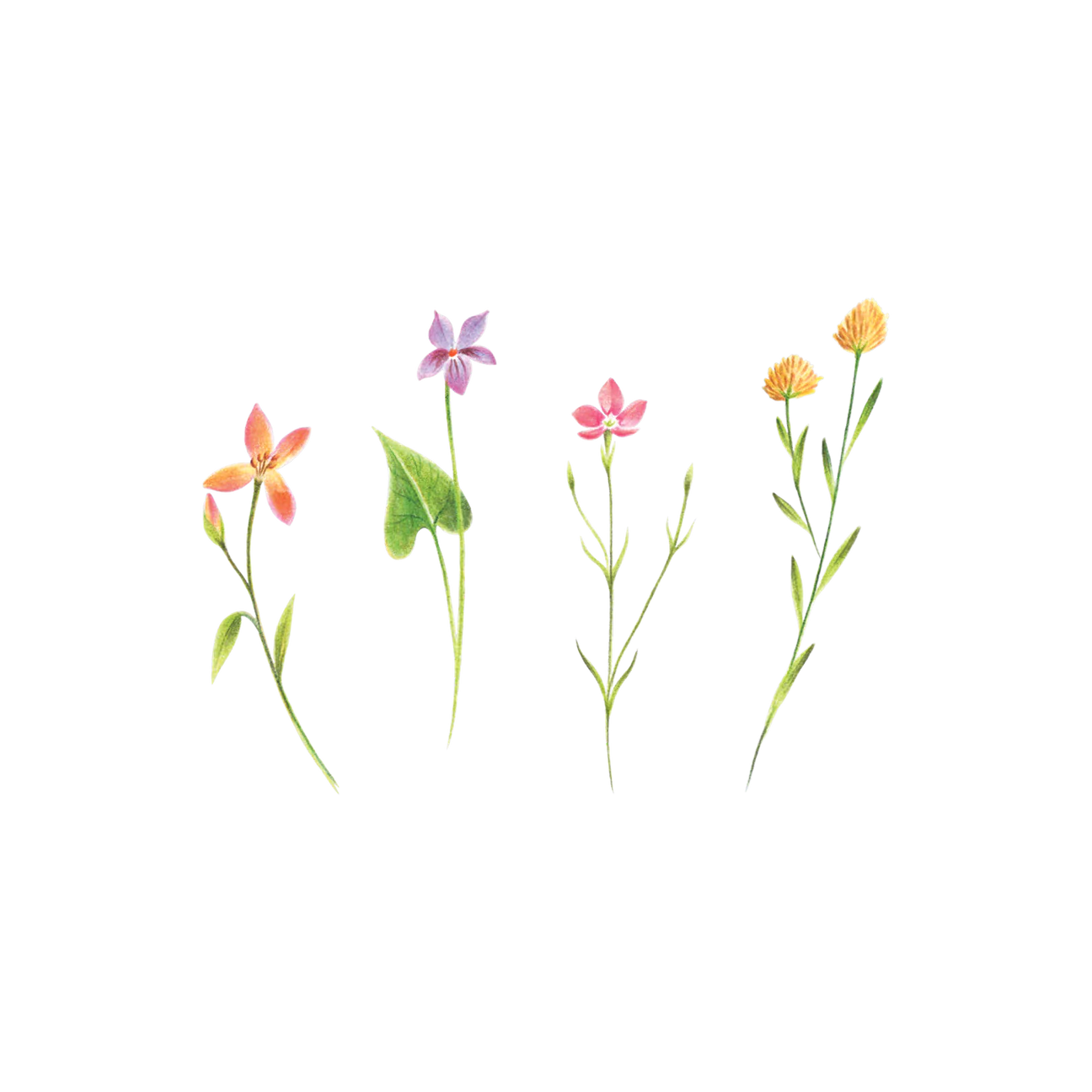 Petite Floral Tattoos