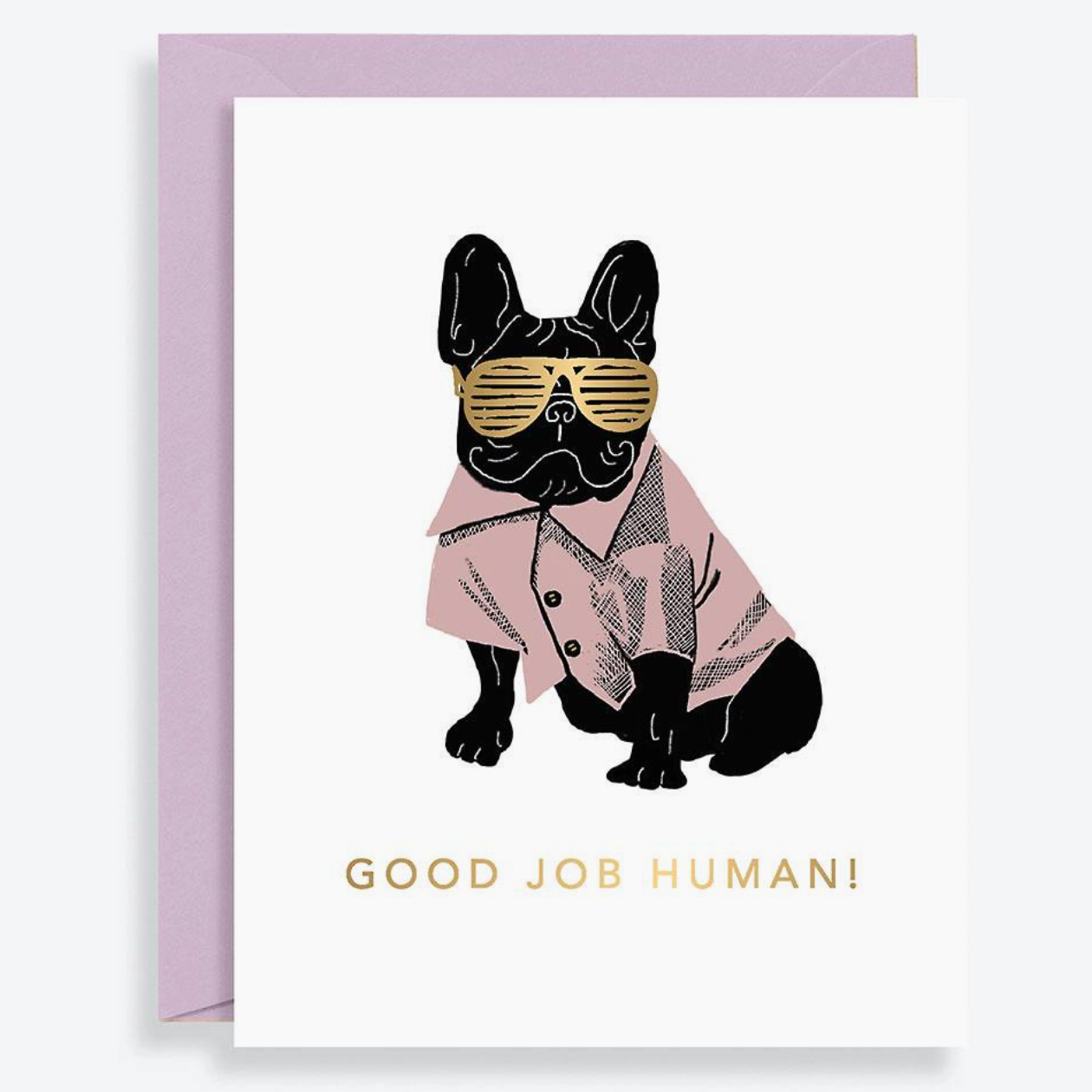 Load image into Gallery viewer, Good Job Human Card

