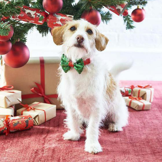 Load image into Gallery viewer, Christmas Dog Bow Tie
