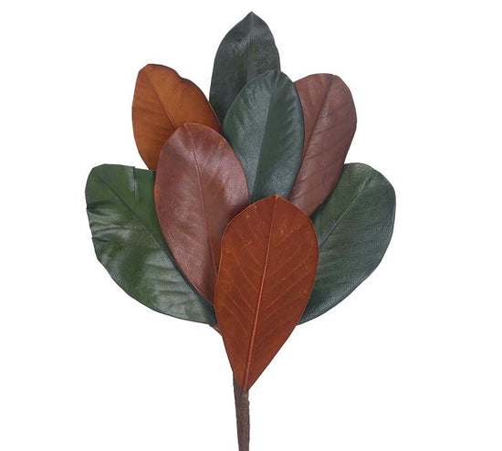 Load image into Gallery viewer, Magnolia Leaf Pick
