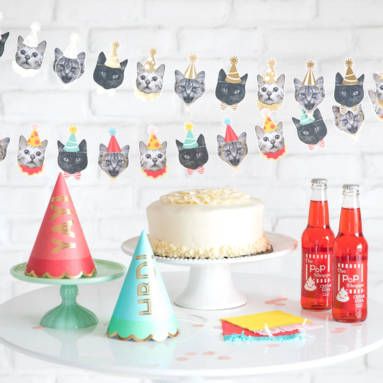 Cat Party Banner
