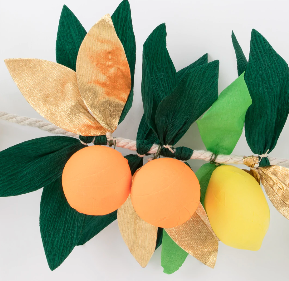 Citrus Fruit Garland