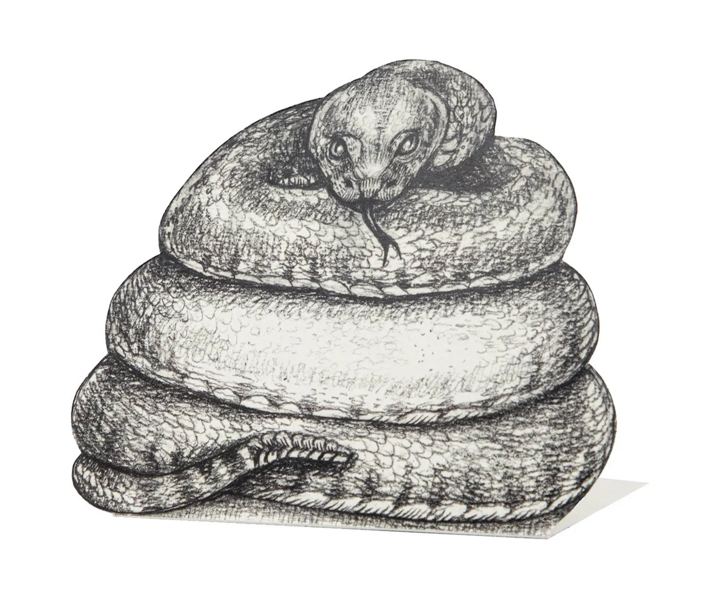 Coiled Snake Place Card