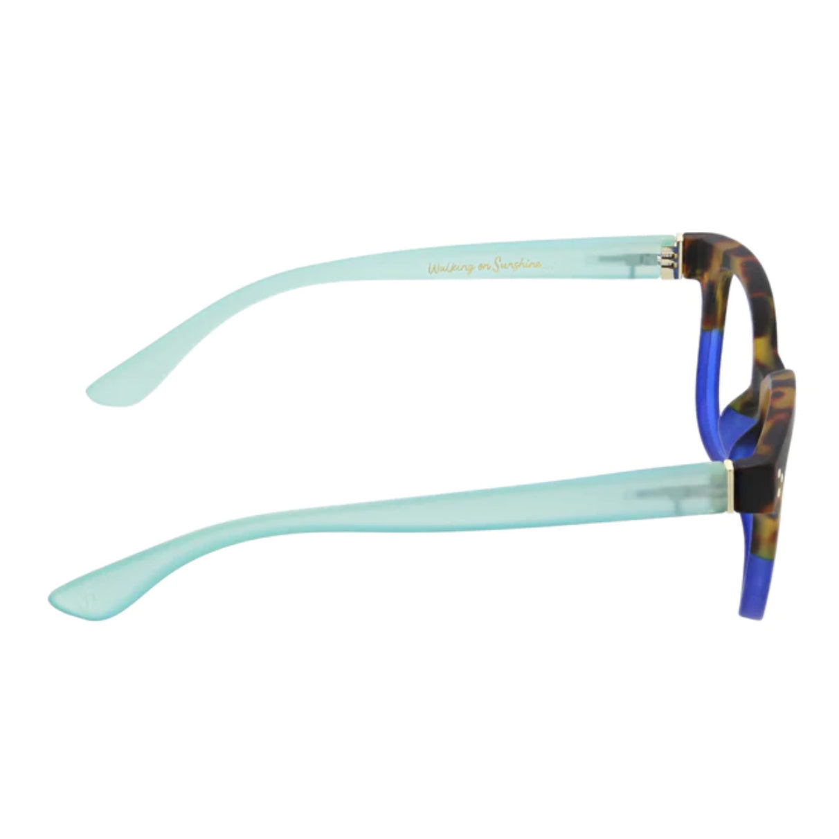 Load image into Gallery viewer, Walking on Sunshine Tortoise/Aqua Peepers Glasses
